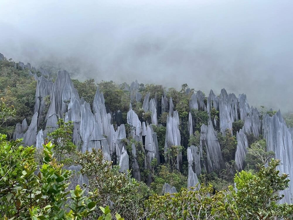 Borneo's Pinnacles