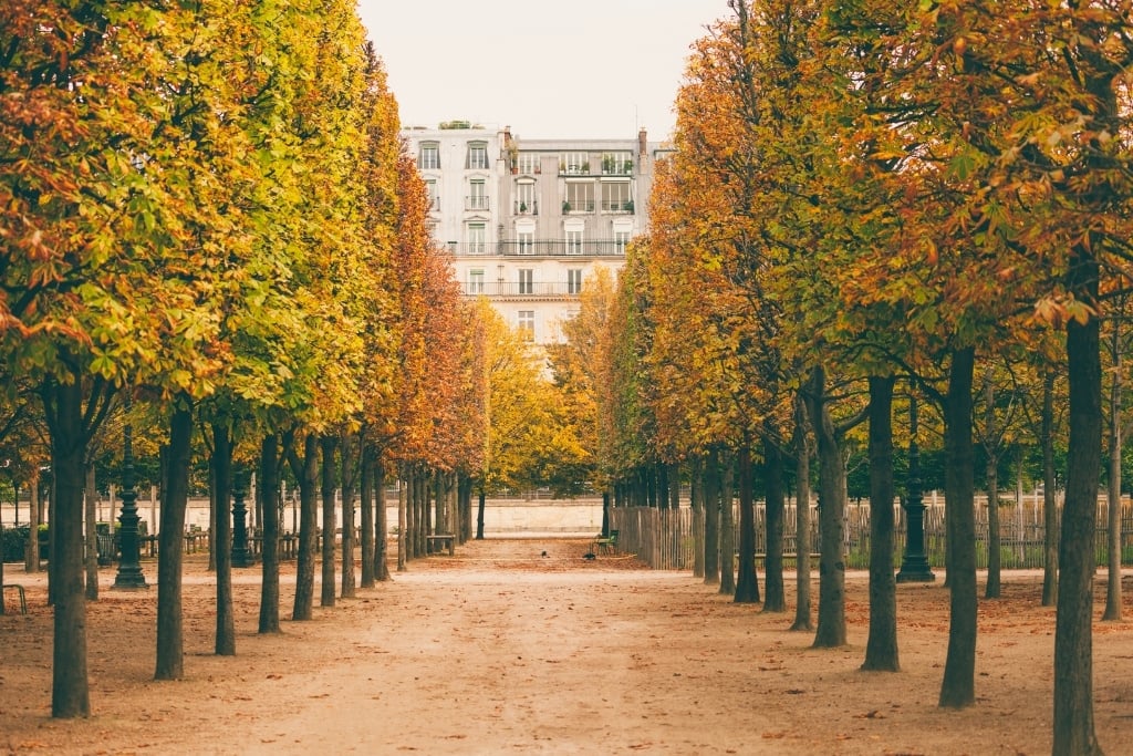 October in Paris