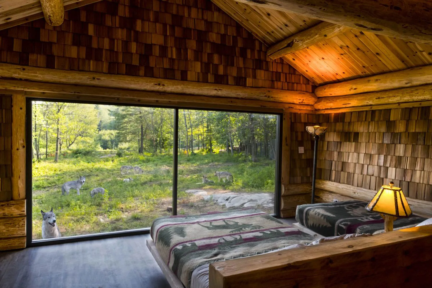 Wolf Cabins