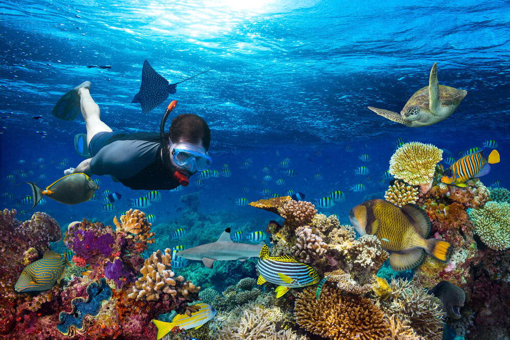 Scuba Diving Spots