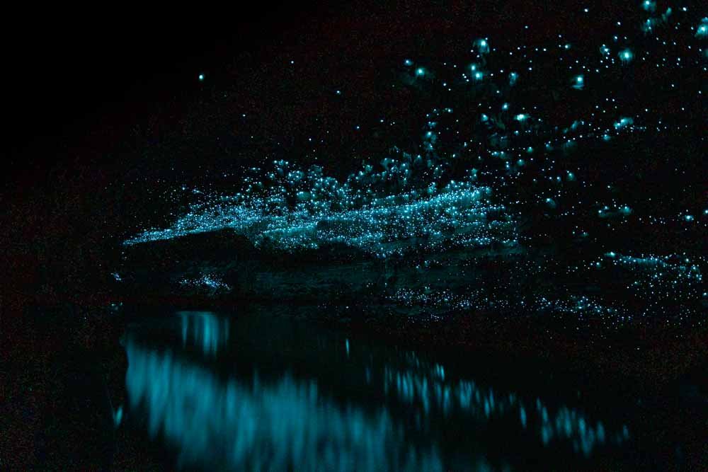 Glowworm Caves