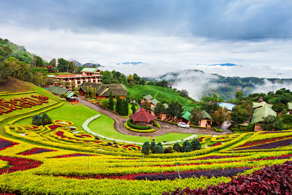 Tea Terraces