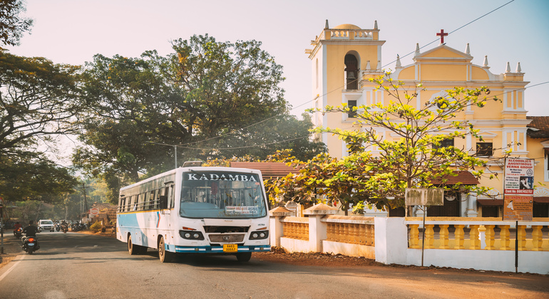 Bus Travel