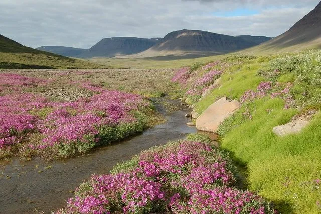 Disko Island Hot Springs greenland hot springs