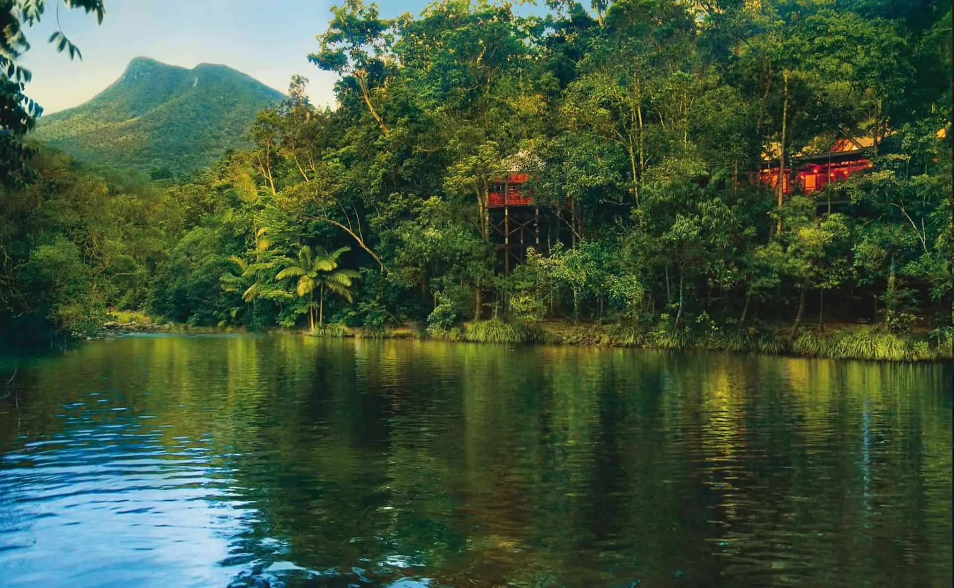 Daintree Rainforest