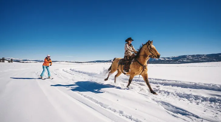 Skijoring