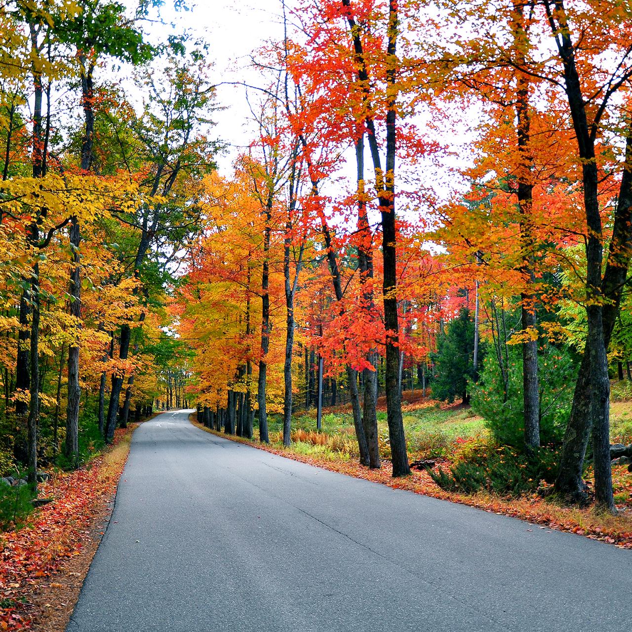 Berkshires