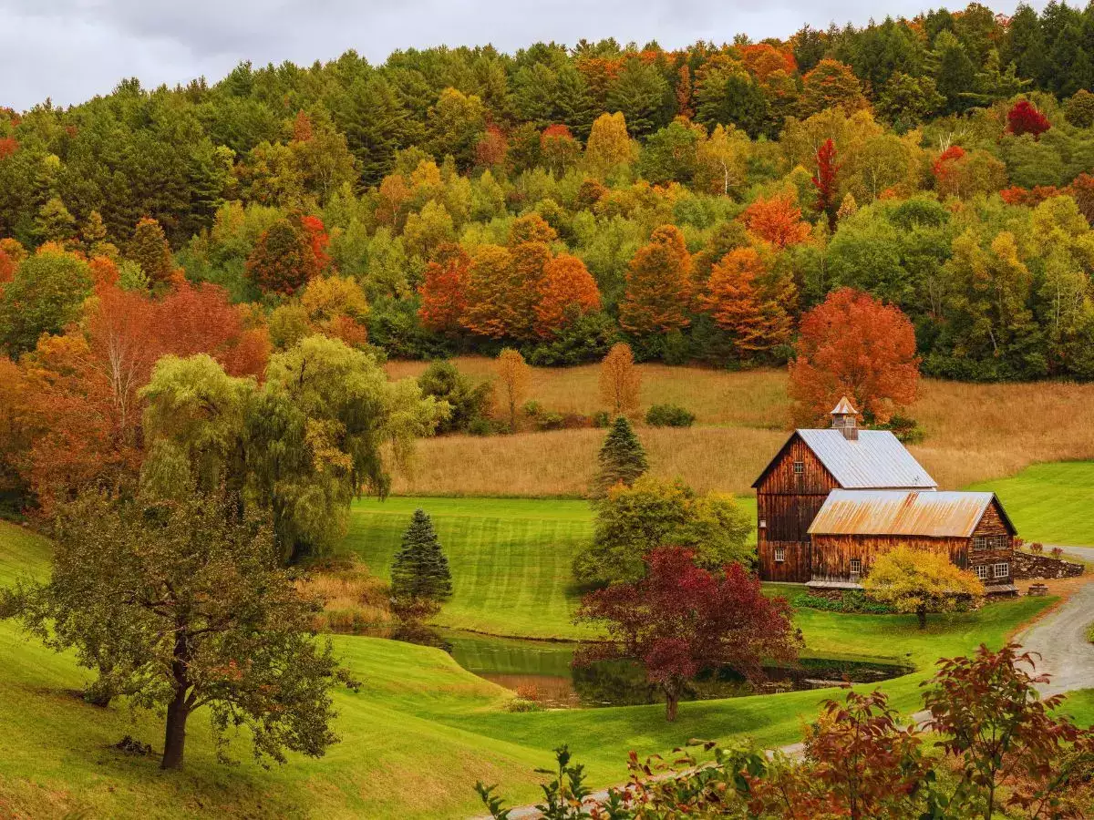 Vermont