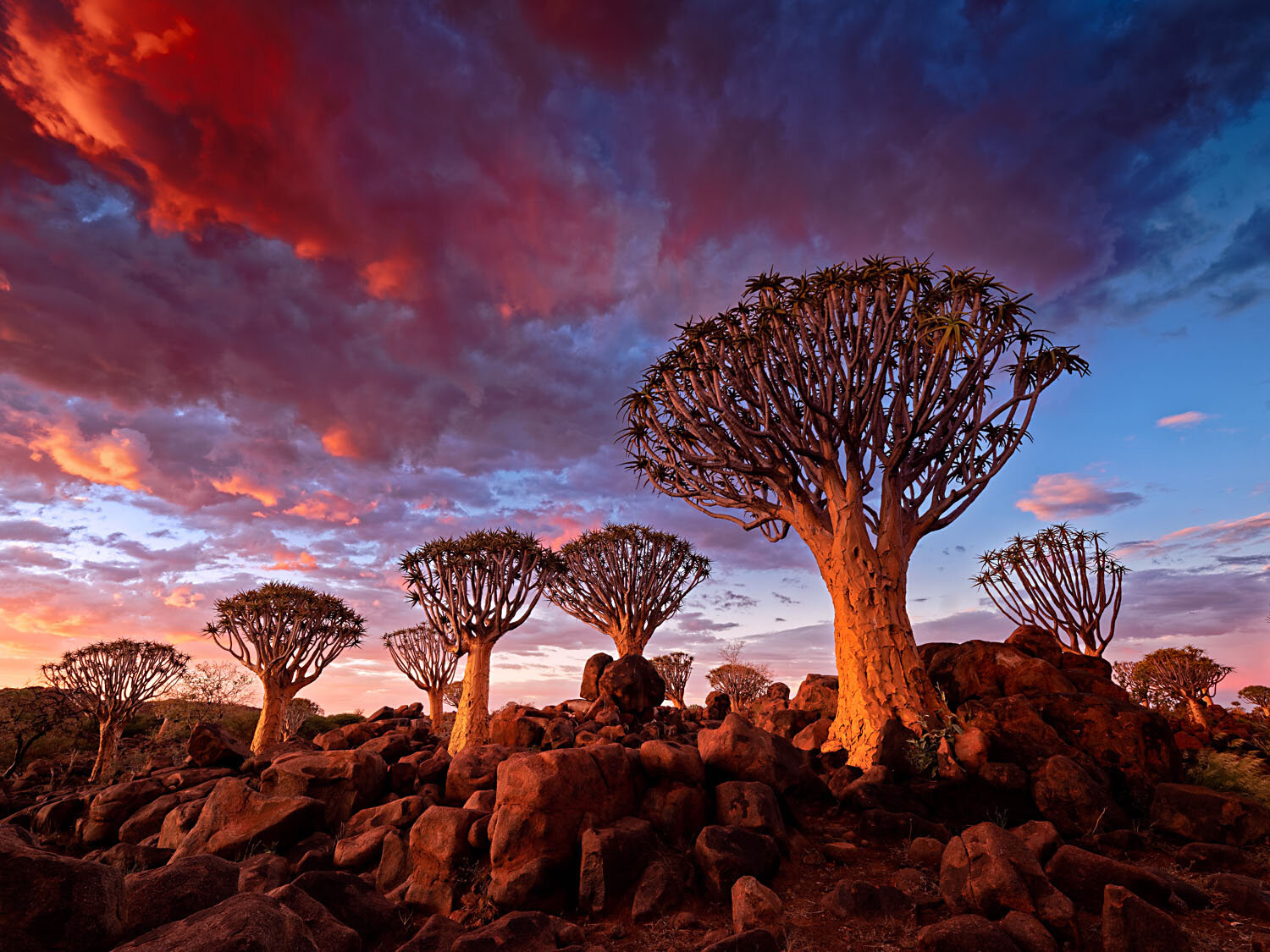 Namibia