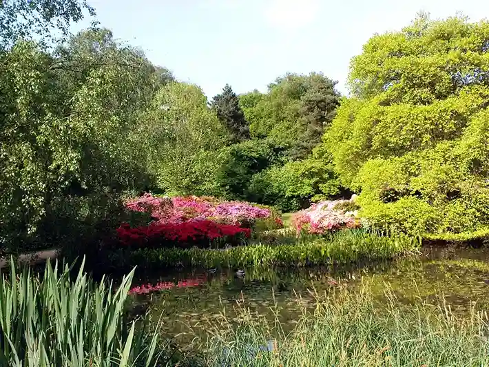 Richmond Park