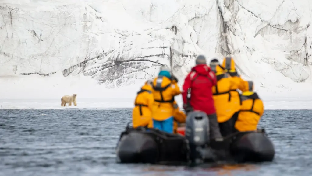 Arctic Safari