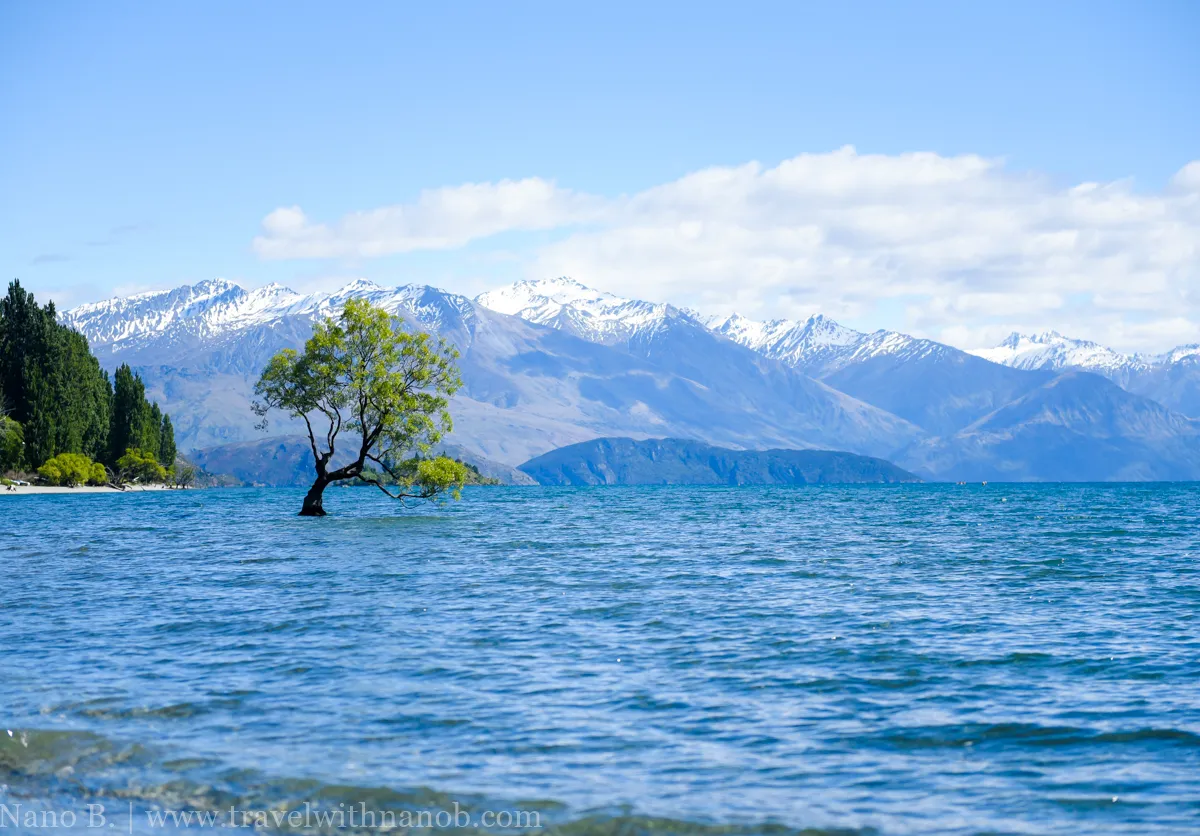 New Zealand