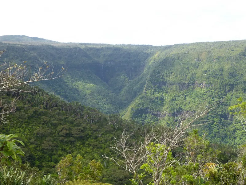 Black River Gorges National Park