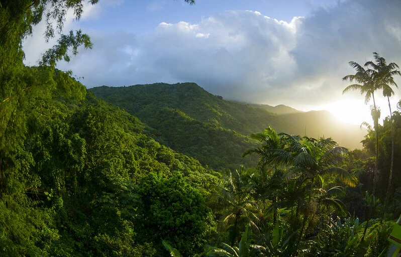 El Yunque National Forest best places to visit in puerto rico