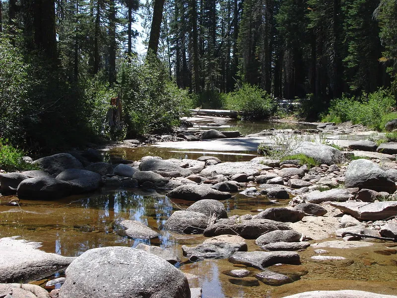 Eldorado National Forest