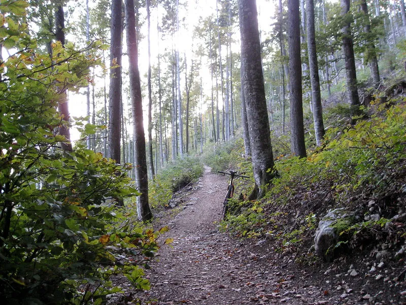 Hiking Trails mount saint Helena