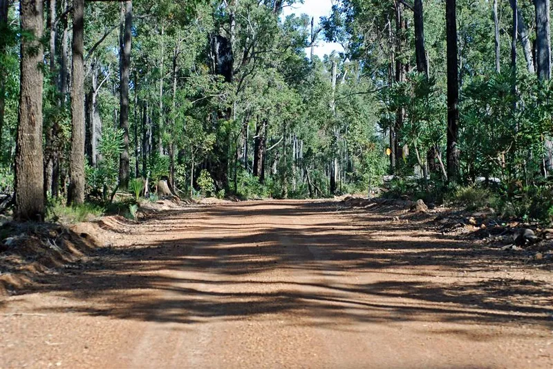 Jarrah Forests seattle western australia