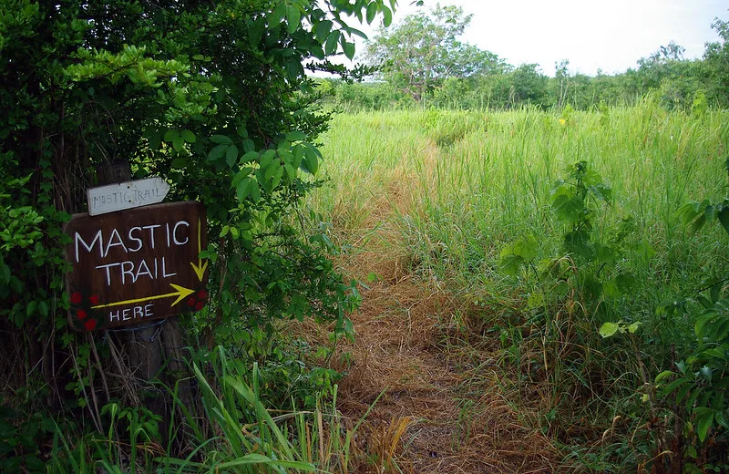 Mastic Trail