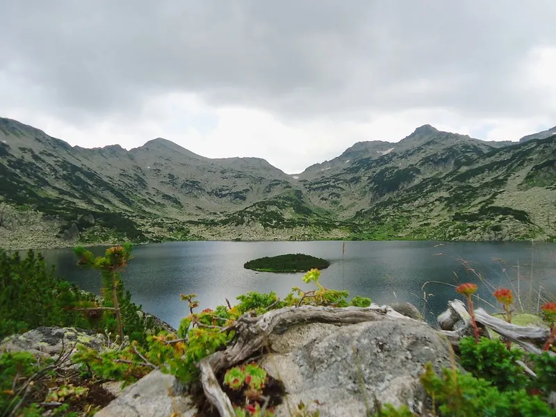 Pirin National Park