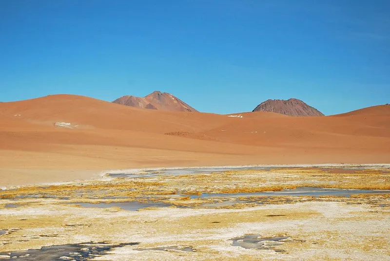 Salar de Tara