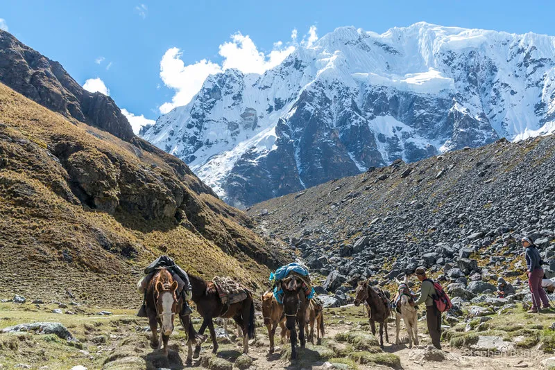 Salkantay Trek - Machu Picchu Hike