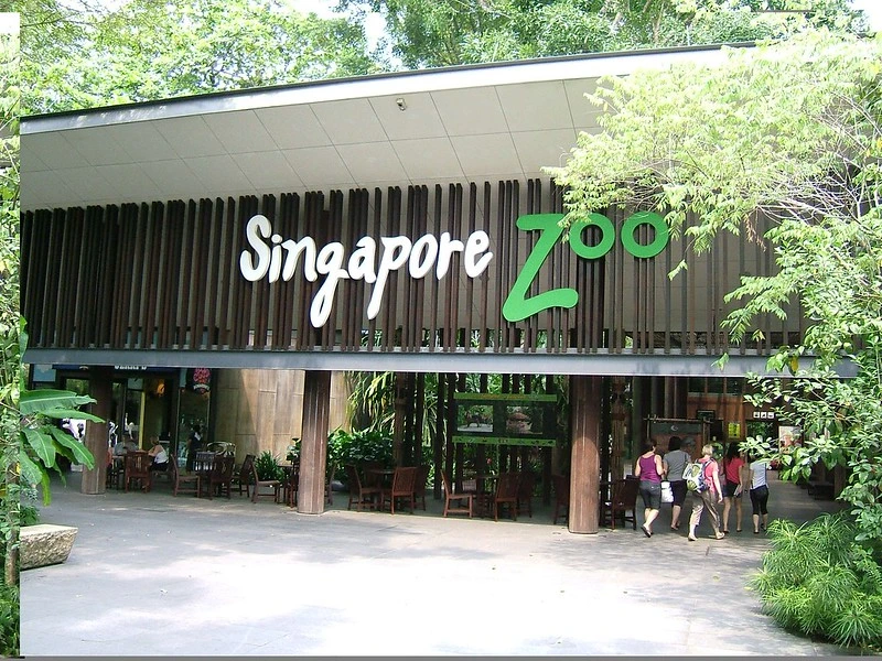 Singapore Zoo famous places in singapore