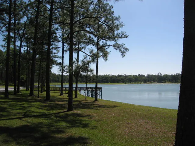 Conecuh National Forest