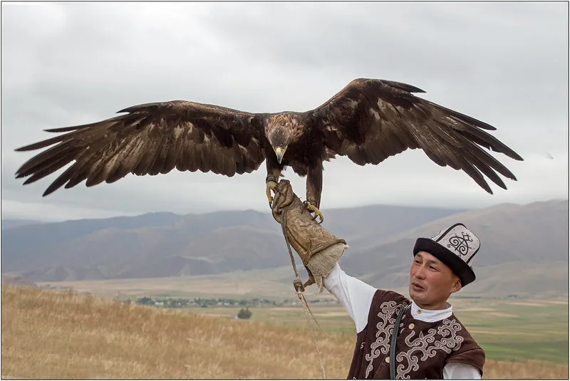 Eagle hunting festival in kyrgyzstan