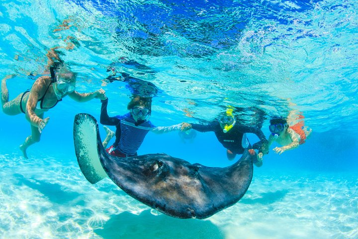 Stingray City