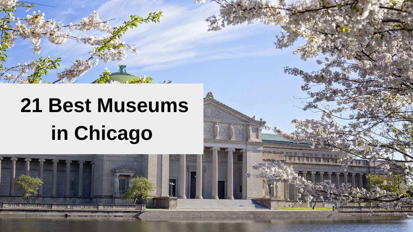 best museum in chicago