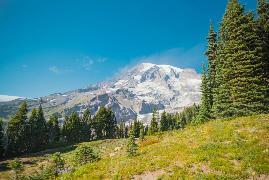 must visit in mount rainier