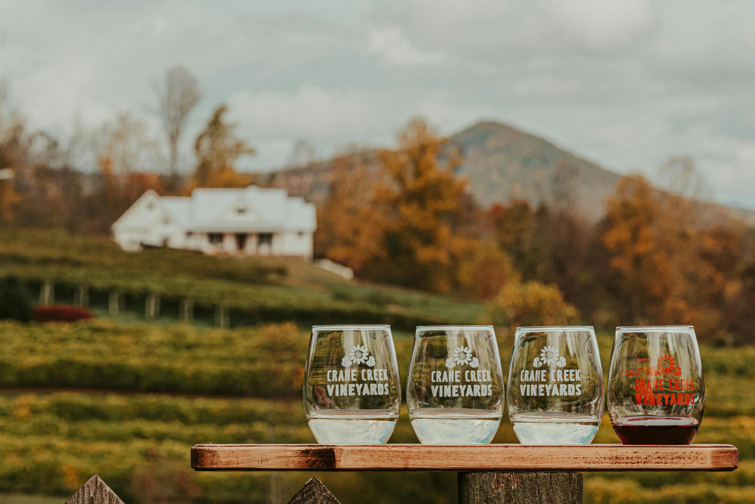 best wineries in north georgia