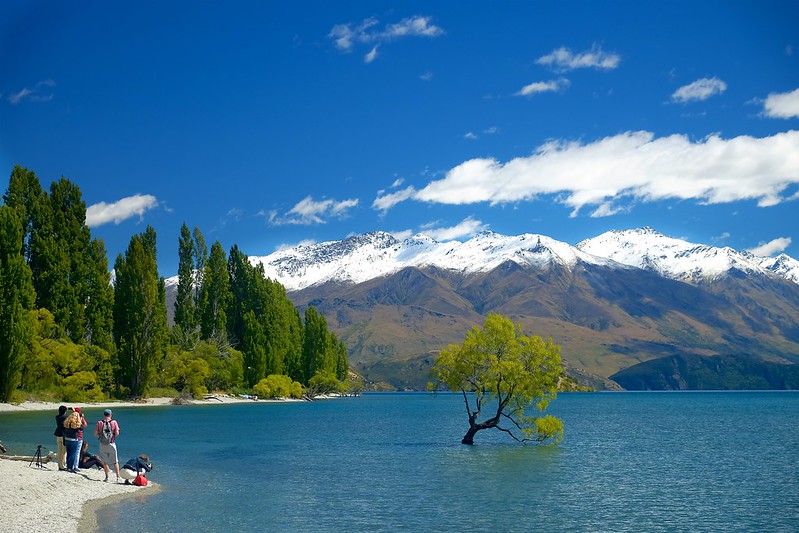 things to do in wanaka