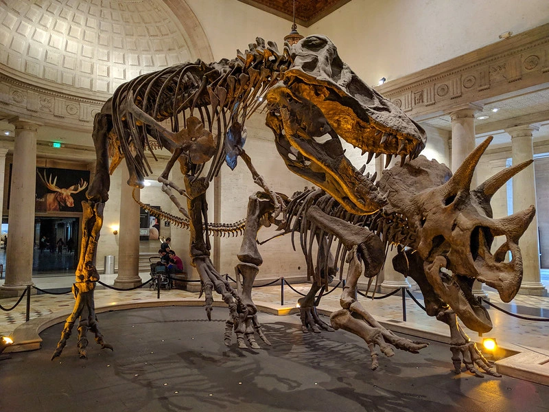 Natural History Museums in Los Angeles