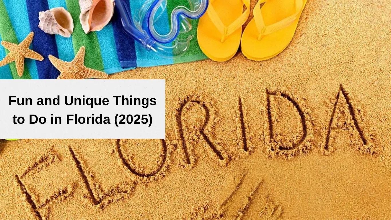 things to do in florida