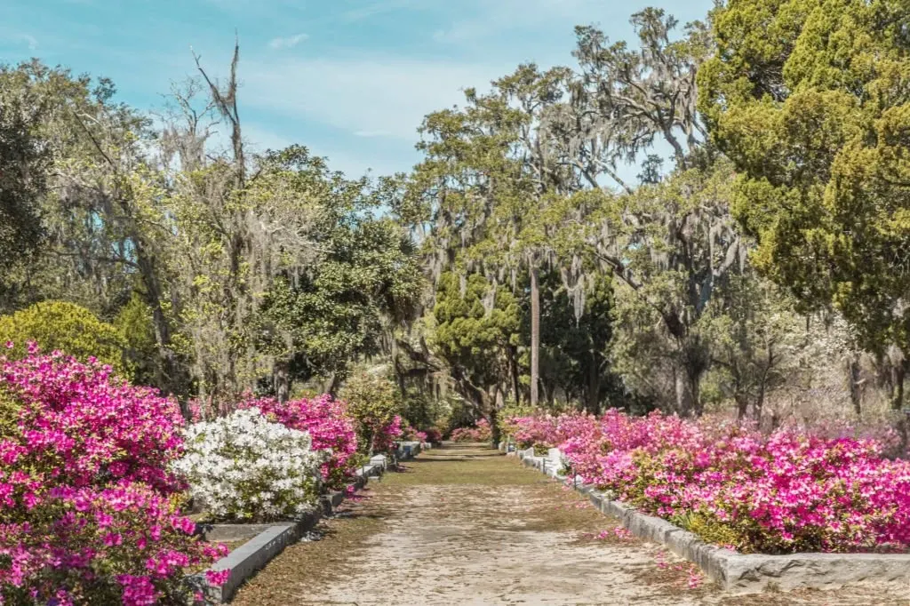 places to visit in georgia