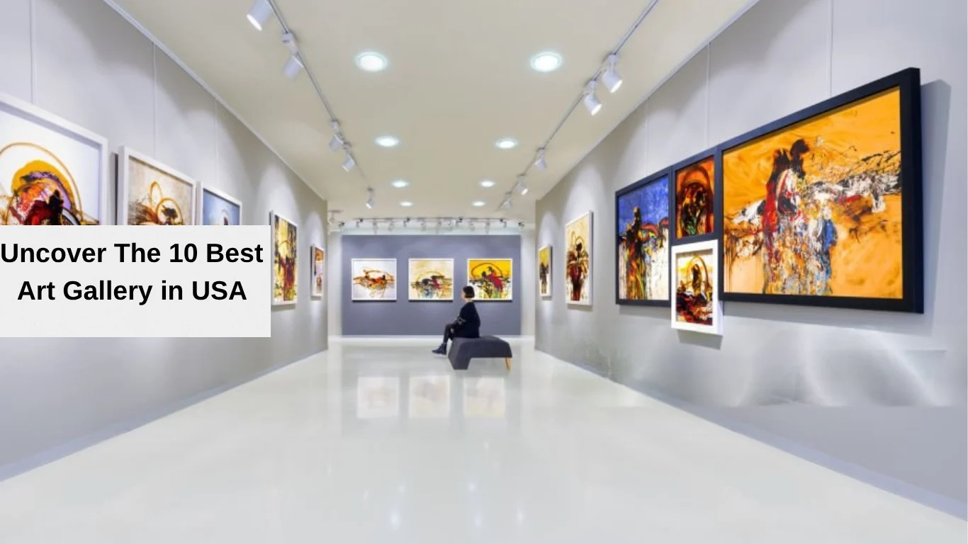 best art gallery in usa