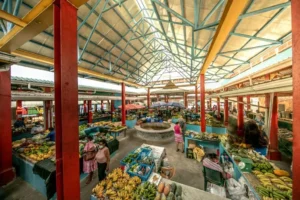 things to do in melbourne